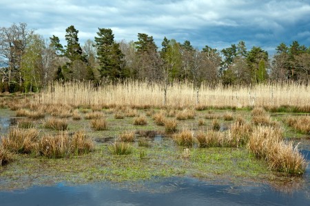 Gäddfabriken Kronobäcks våtmark länsstämman 2015